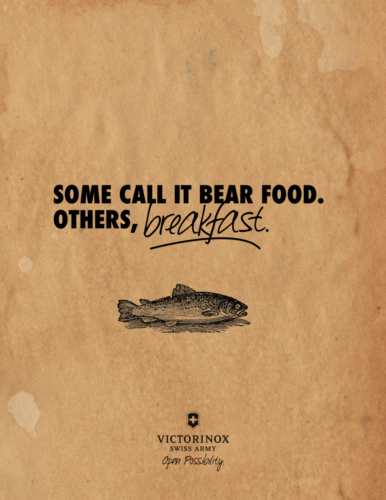 bear food